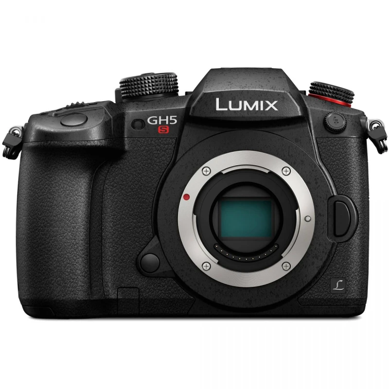 Lumix GH5s